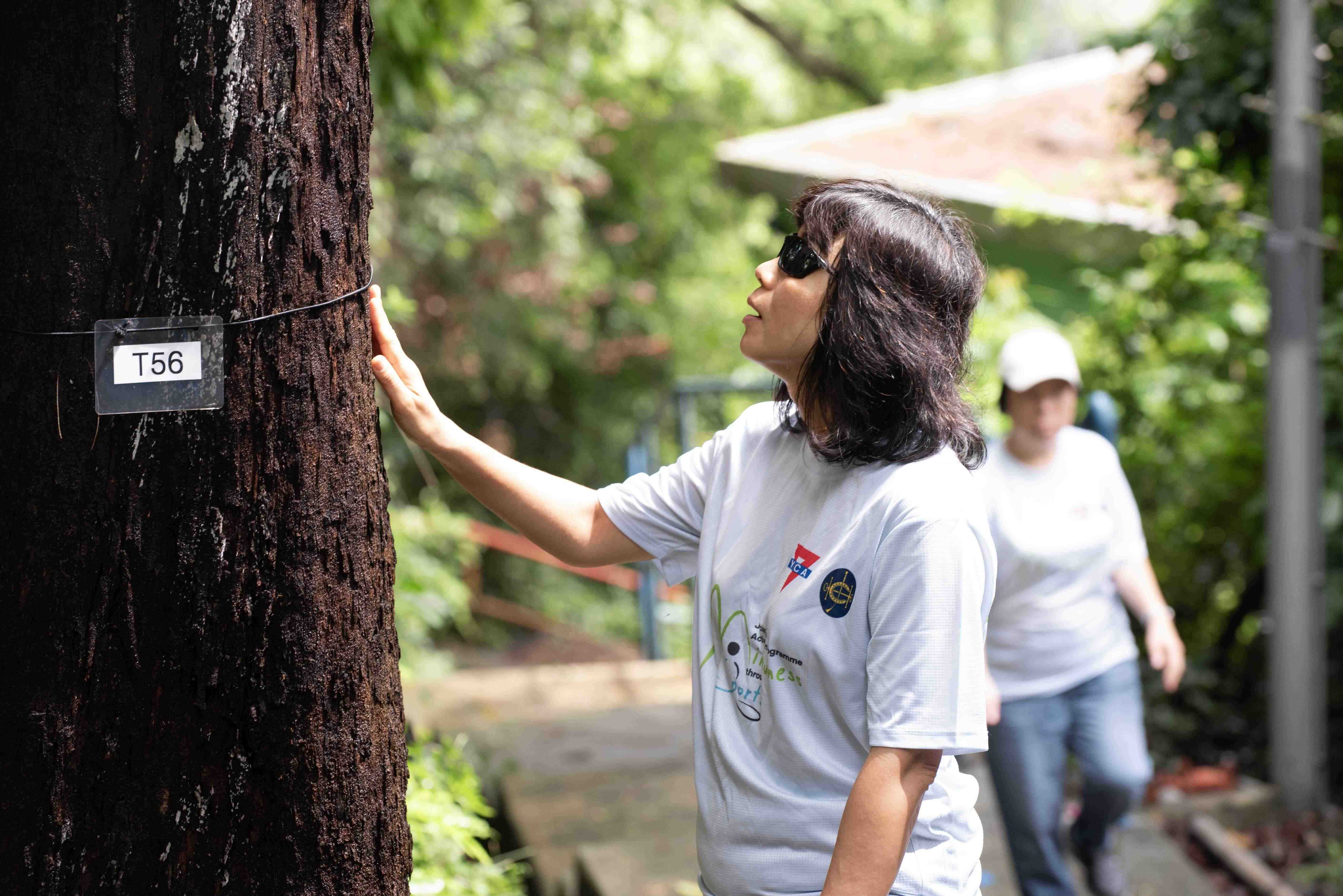 靜觀運動訓練班 - 森林浴